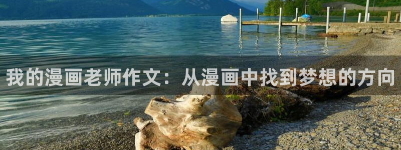www喵趣com：我的漫画老师作文：从漫画中找到梦想的方向